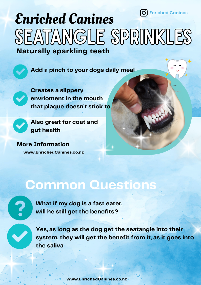 Seatangle Sprinkles - Ascophyllum Nodosum [for sparkling teeth]