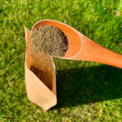 Seatangle Sprinkles - Ascophyllum Nodosum [for sparkling teeth]