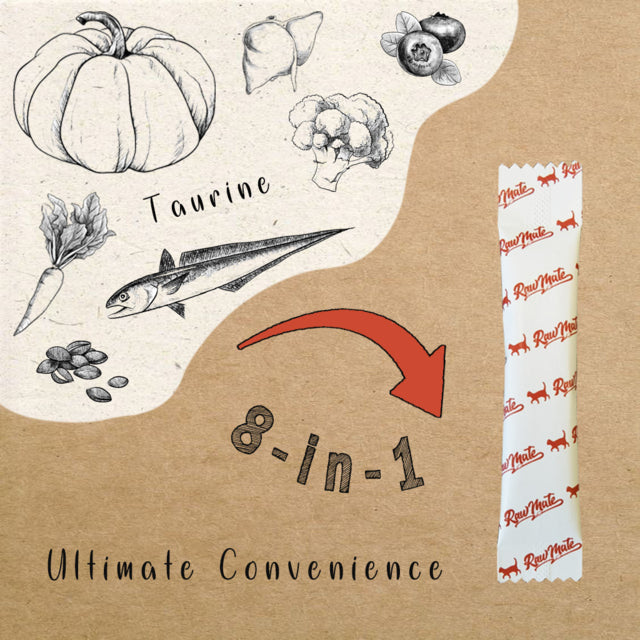 RawMate Cat Skin and Coat