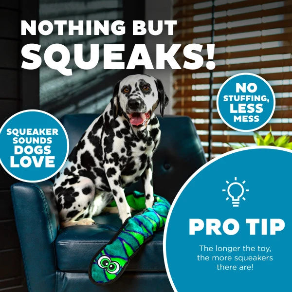 Durablez Snake Plush Dog Toy