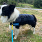 “Cool On Track” Dog Cooling Coat **$10 OFF**