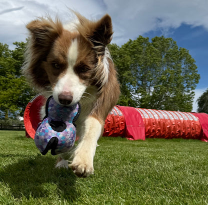 Puppingtons Pods - Food Training Toy