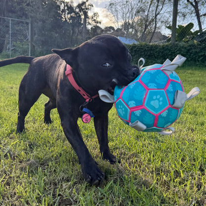 Inflatable Football with tabs 20cm