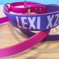 BioThane Martingale Lead - a collar and lead in one!!