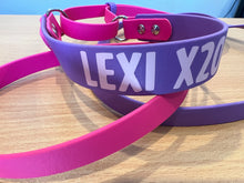 BioThane Martingale Lead - a collar and lead in one!!