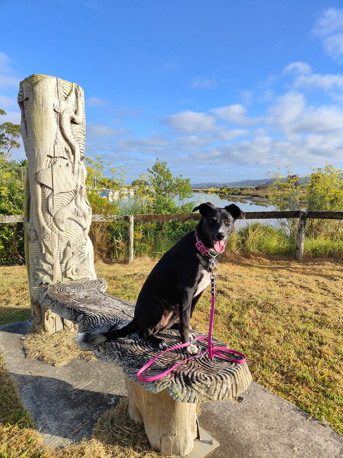 BioThane Multi Function Dog Lead