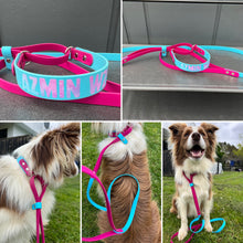 BioThane Martingale Lead - a collar and lead in one!!-Accessories-Shine Canine-Collar 16mm-Lead 13mm-Shine Pets
