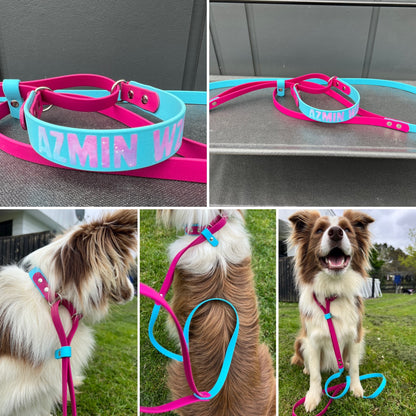 BioThane Martingale Lead - a collar and lead in one!!-Accessories-Shine Canine-Collar 16mm-Lead 13mm-Shine Pets
