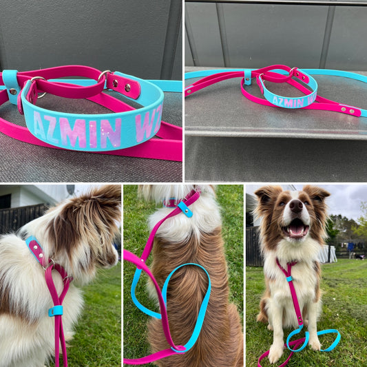 BioThane Martingale Lead - a collar and lead in one!!-Accessories-Shine Canine-Collar 16mm-Lead 13mm-Shine Pets