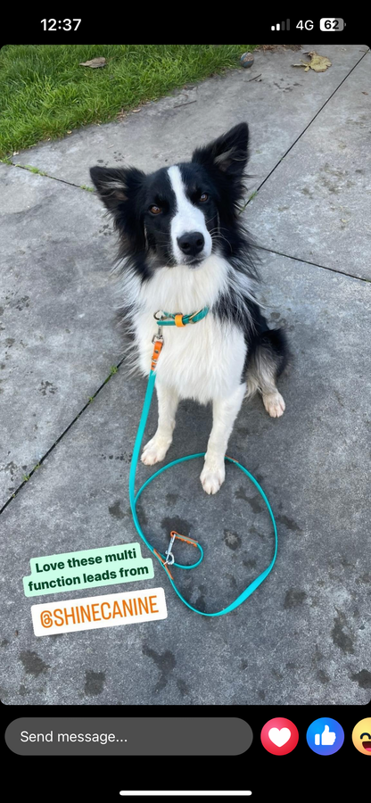 BioThane Multi Function Dog Lead