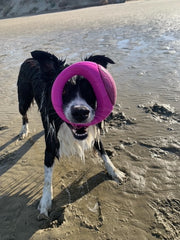 Rogz Pop-Upz Dog Toy