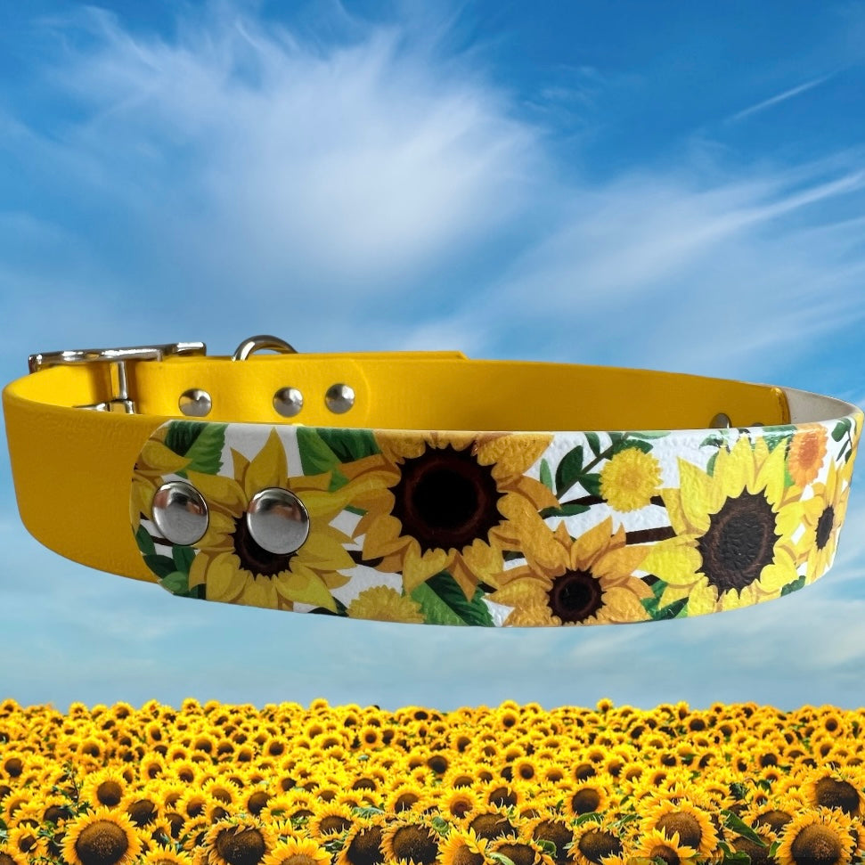 BioThane Custom Buckle UV Printed Dog Collar WITH ACCENT 🤩