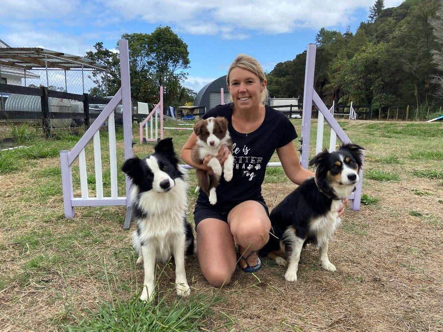 The Home of Pet Supplies in NZ Pet Store NZ Shine Pets