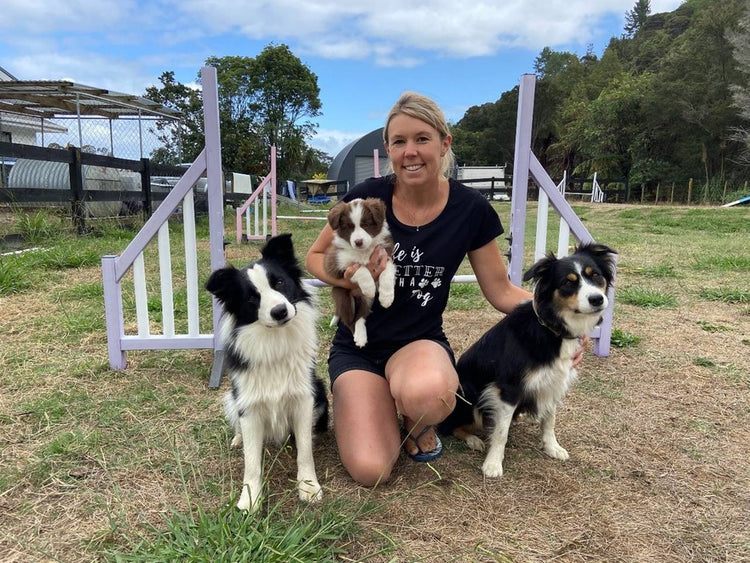 The Home of Pet Supplies in NZ Pet Store NZ Shine Pets