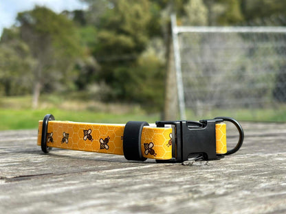 BioThane "Quick Release" Custom UV Printed Dog Collar 🤩