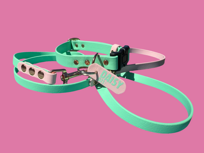 BioThane Quick Release Custom Dog Collar - Adjustable