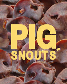 Pig Snouts for Dogs – Natural NZ Dehydrated Dog Chew Treats