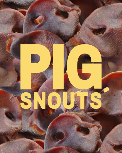 Pig Snouts for Dogs – Natural NZ Dehydrated Dog Chew Treats