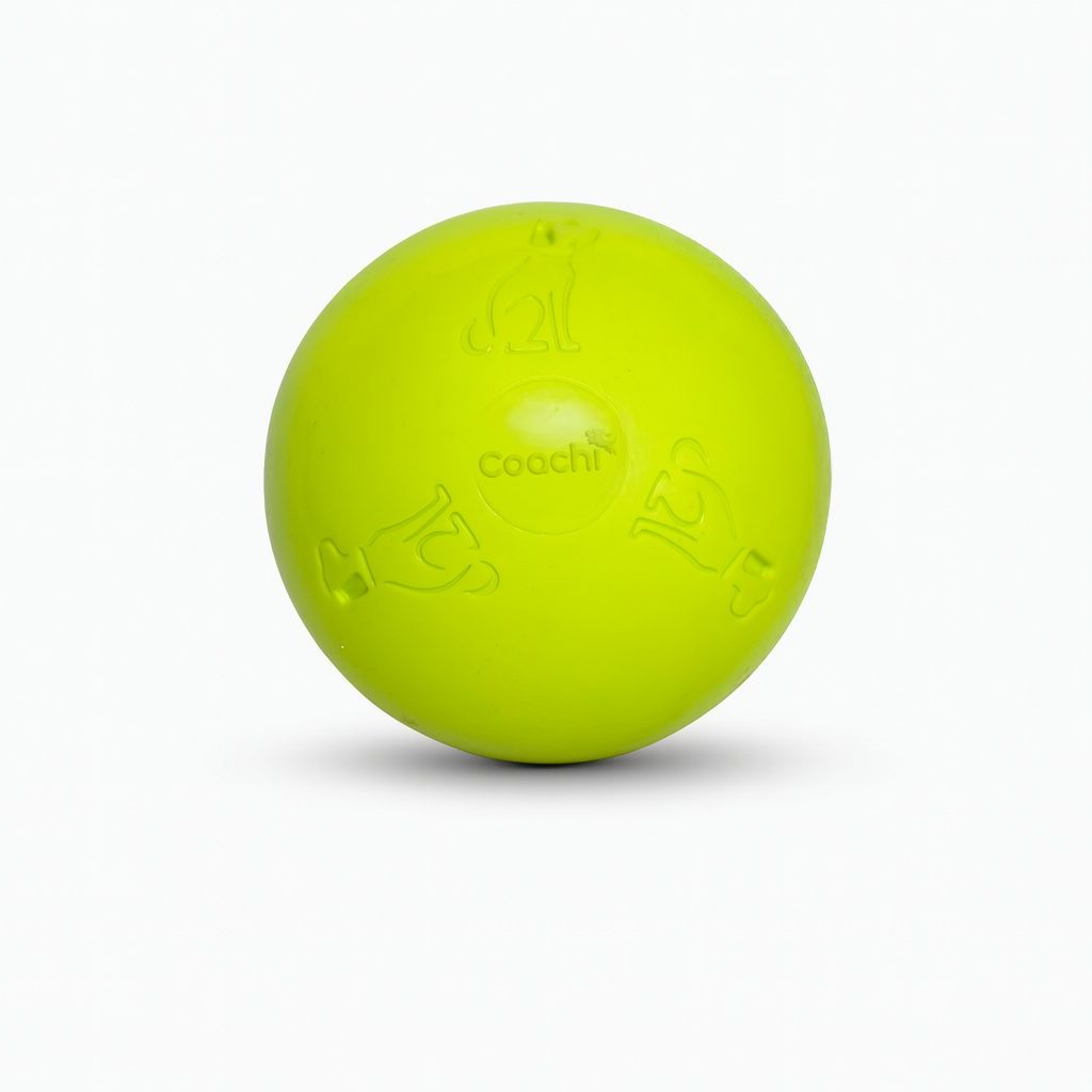 Coachi Boomi Ball (was the Boomer Ball)