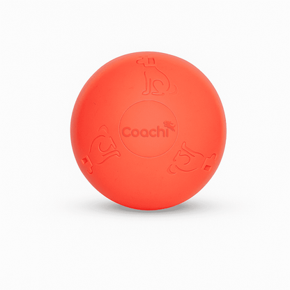 Coachi Boomi Ball (was the Boomer Ball)