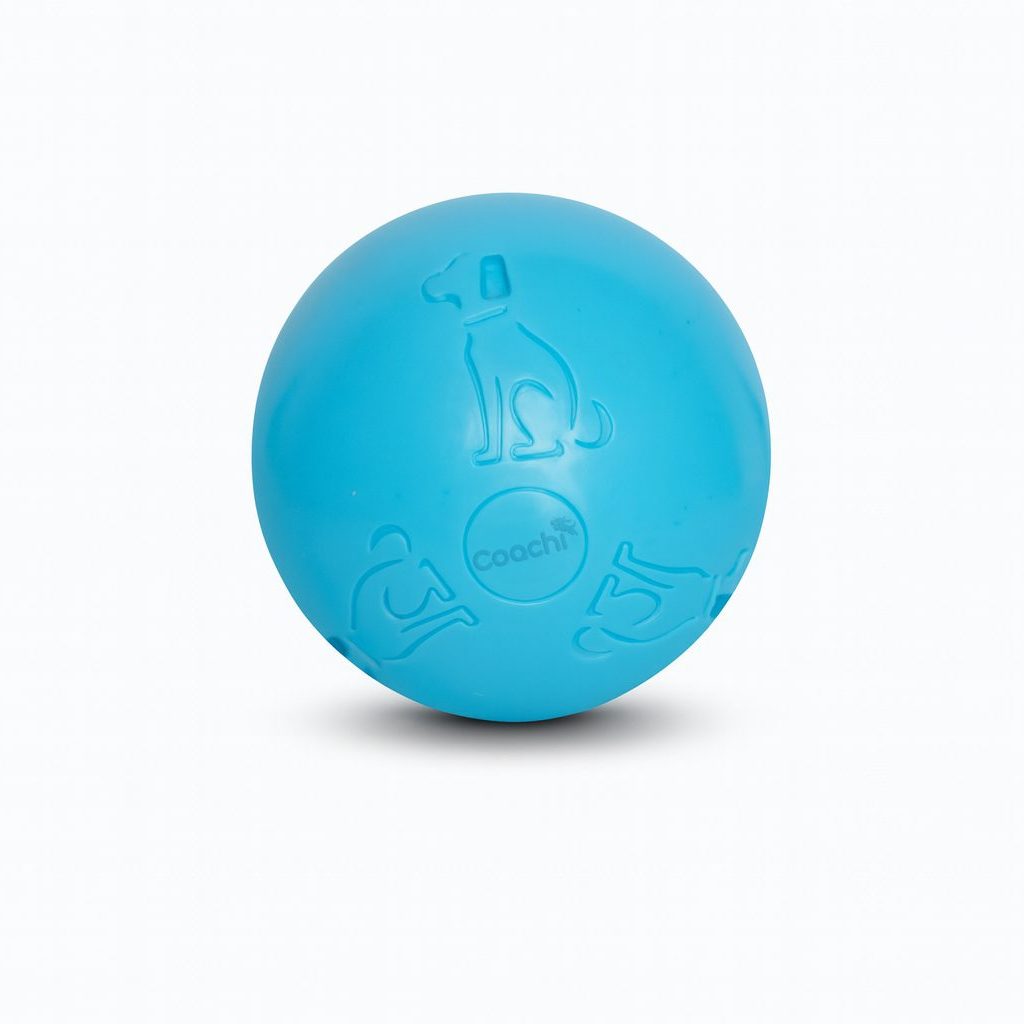 Coachi Boomi Ball (was the Boomer Ball)