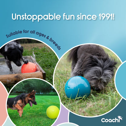 Coachi Boomi Ball (was the Boomer Ball)