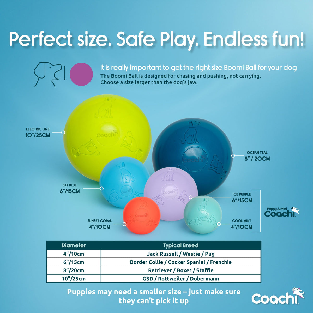 Coachi Boomi Ball (was the Boomer Ball)