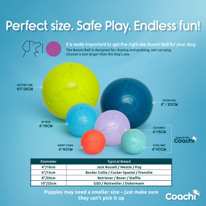 Coachi Boomi Ball (was the Boomer Ball)