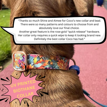 BioThane "Quick Release" Custom UV Printed Dog Collar 🤩