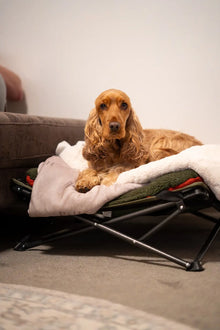 Folding/Camping Dog Bed - Outdoor Connection
