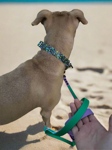 BioThane MARTINGALE Dog Collar (adjustable) - UV Printed