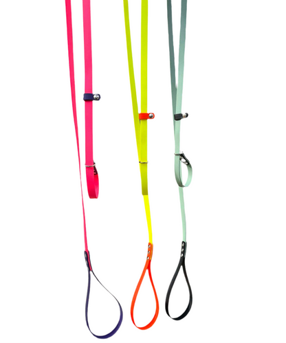 BioThane Dog Slip Lead