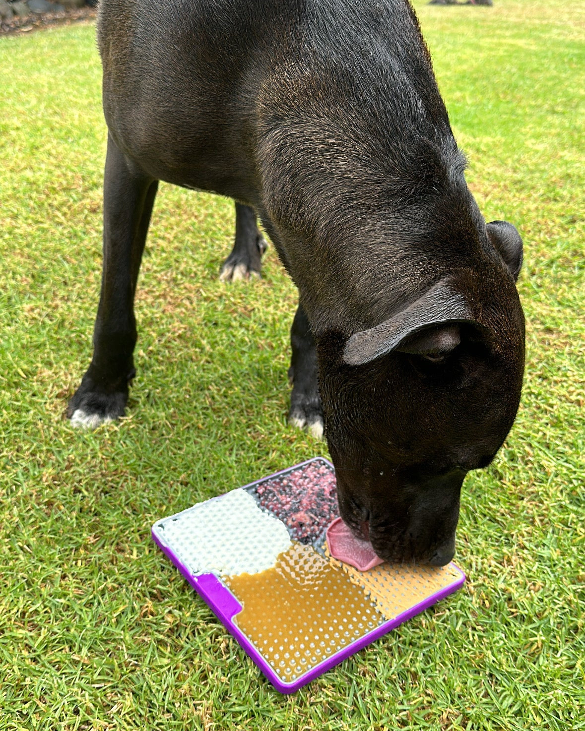 LickiMat Tuff Soother