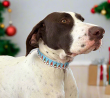 BioThane Custom Buckle UV Printed Dog Collar - SINGLE PATTERN/COLOUR