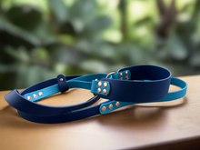 BioThane Martingale Lead - a collar and lead in one!!