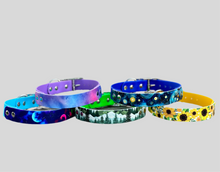 BioThane Custom Buckle UV Printed Dog Collar 🤩-Accessories-Shine Canine-X-Small 20-30cm-16mm/19mm-Shine Pets