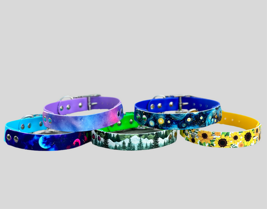 BioThane Custom Buckle UV Printed Dog Collar 🤩-Accessories-Shine Canine-X-Small 20-30cm-16mm/19mm-Shine Pets