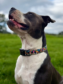 BioThane "Quick Release" Custom UV Printed Dog Collar - Adjustable