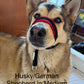 Head Halters (fleece lined) - clip under chin