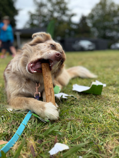 BONNO - The Mānuka Chew for Dogs