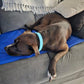 Trixie Cooling Mat **25% OFF**-Brooklands-Medium 50x40cm-Shine Pets