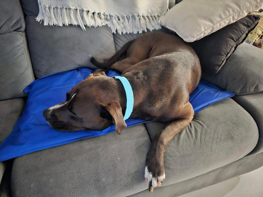 Trixie Cooling Mat **25% OFF**-Brooklands-Medium 50x40cm-Shine Pets