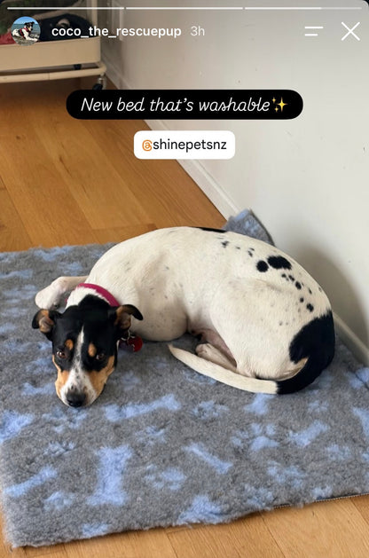 Drybed Mat/Vet Bed