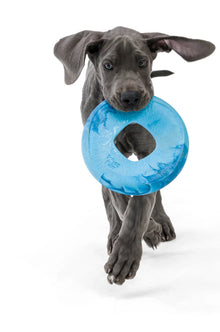 West Paw Seaflex Sailz (Soft Dog High-Flying Disc Toy)
