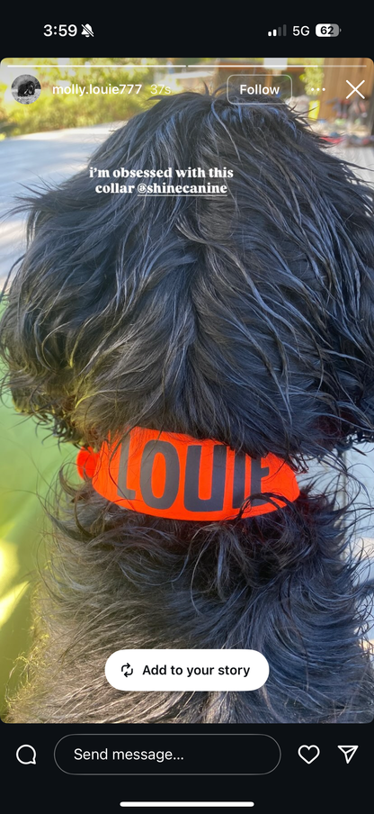 BioThane Dog Collar - Classic Buckle - Custom Single Colour