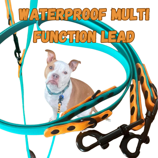 BioThane Multi Function Dog Lead-Accessories-Shine Canine-13mm-Shine Pets