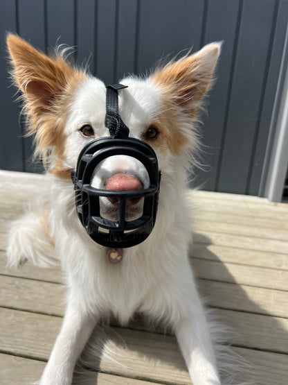 Baskerville Ultra Muzzle