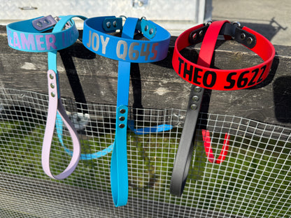 BioThane Martingale Lead - a collar and lead in one!!