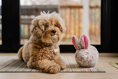 P.L.A.Y Forest Friends Baxter the Bunny