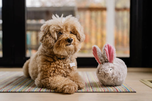 P.L.A.Y Forest Friends Baxter the Bunny